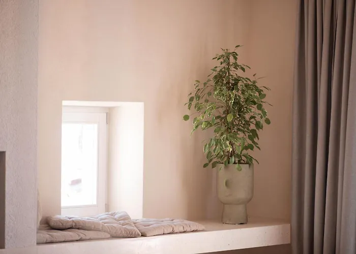 Heritage House Kaleta 别墅 *